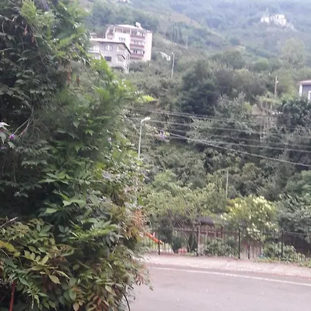 Apartment Memis Trabzon